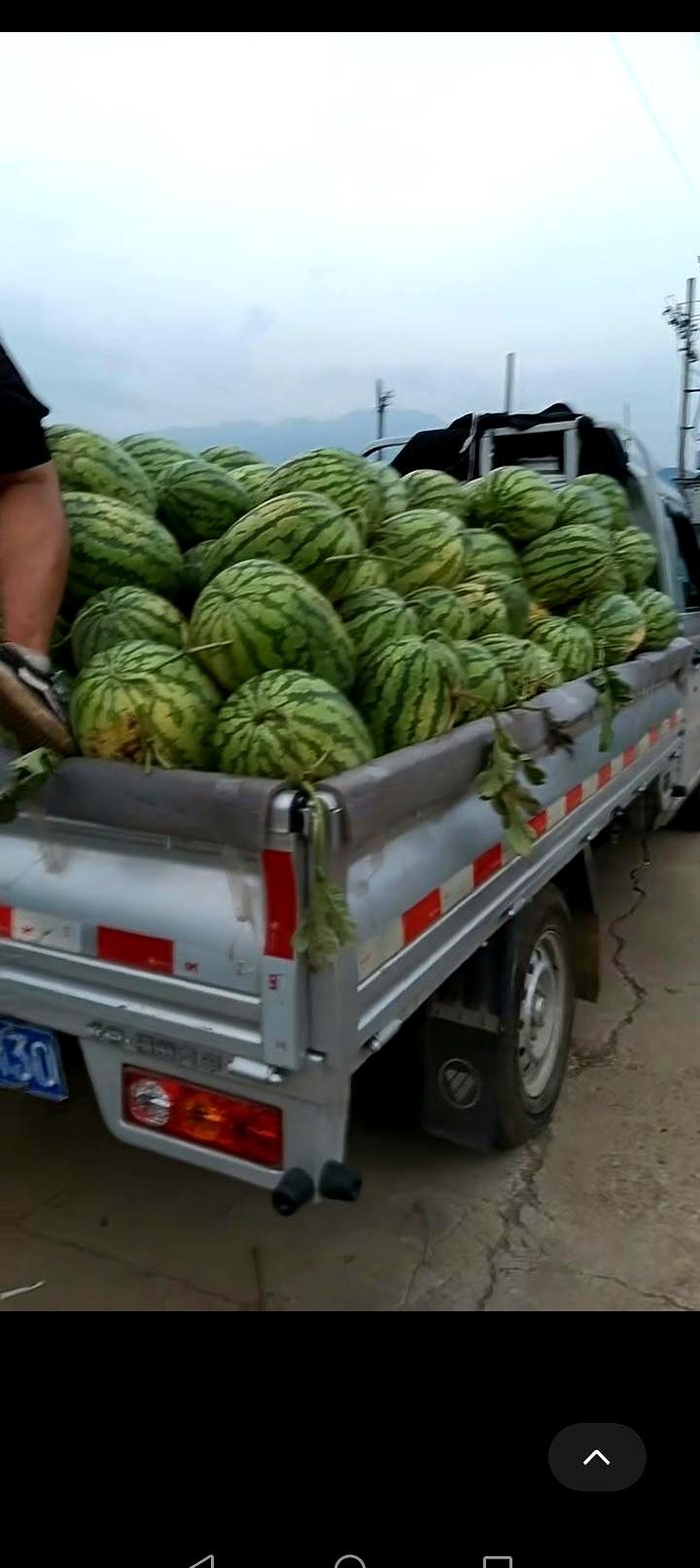 赶集时路过一辆小三轮，喇叭震天：西瓜一块钱一个。
人群刚掏手机，他又加一句：不送
