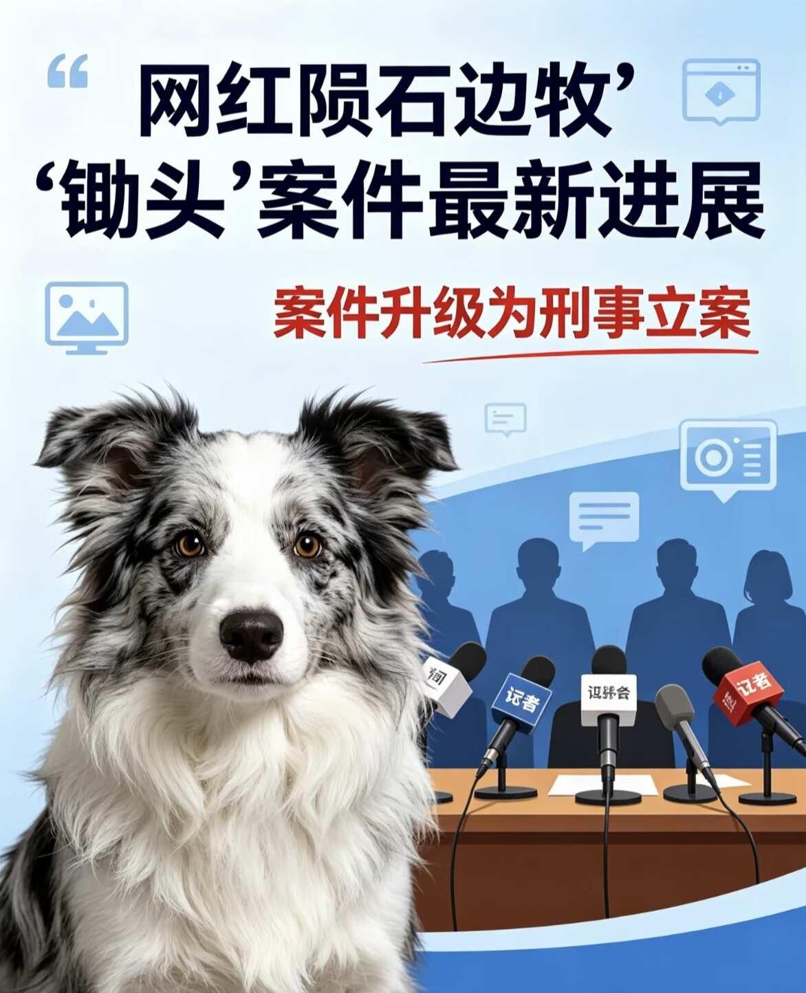 陨石边牧锄头案 哪些人承担刑事责任
一、偷狗夫妻（两名嫌疑人）
1. 罪名：盗窃