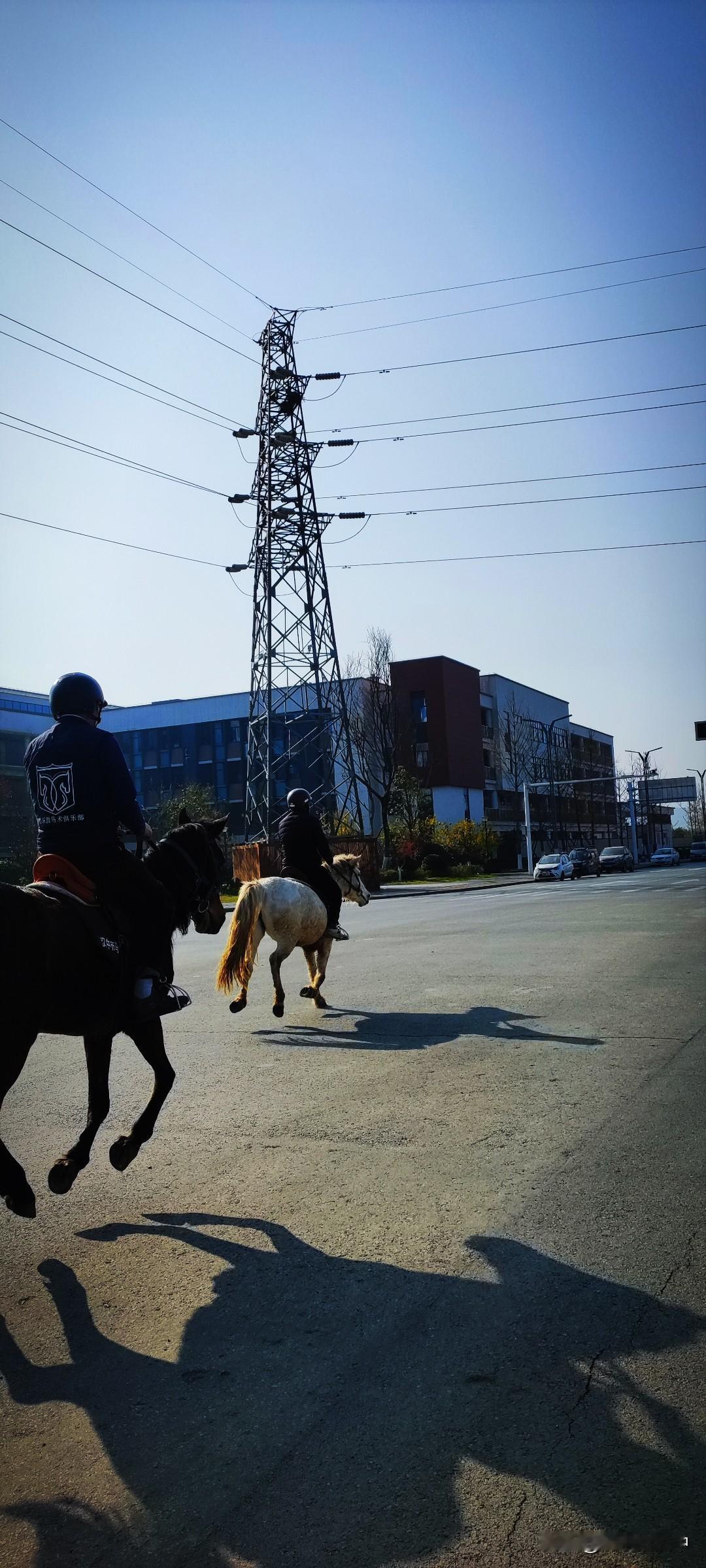 冬日生活随拍马儿跑过去，这画面想起：策马奔腾，共享人世繁华。其实我也想看看马上的