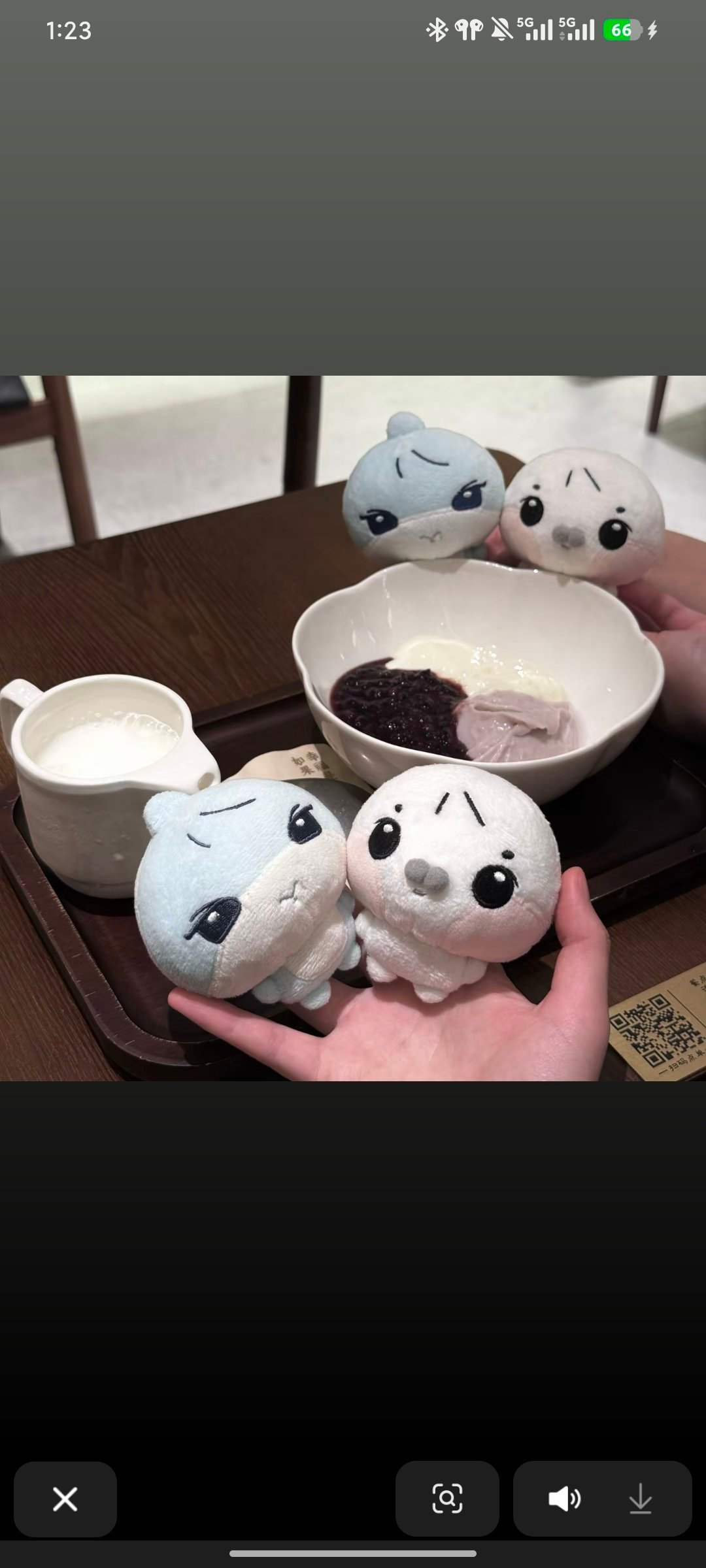 这对豚馒真的好萌萌啊。 
