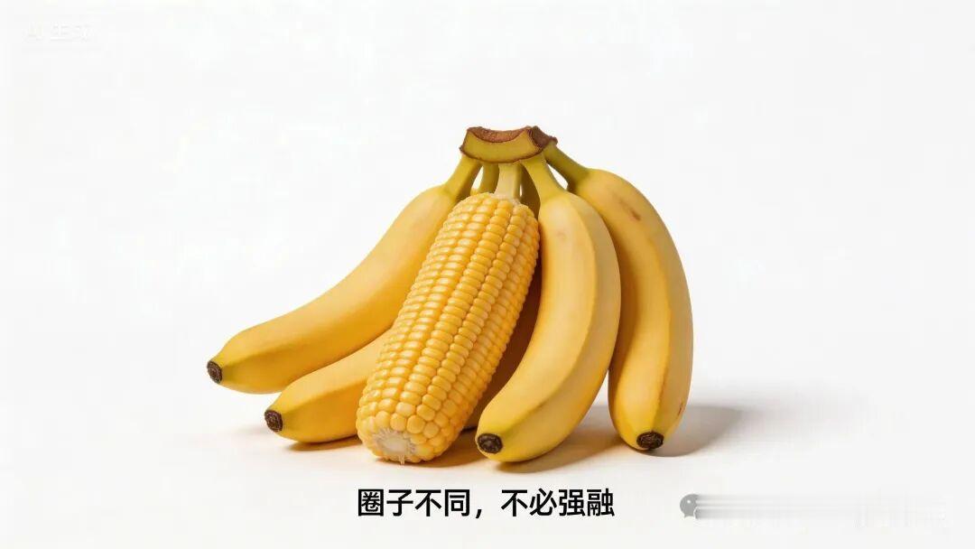 圈子不同，不必强融，这才是成年人最高级的自律
      现在的人活得累，就是因