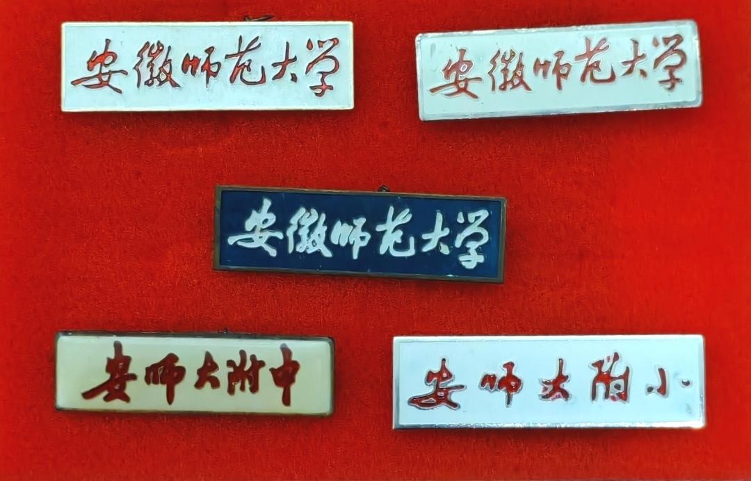 我认为会，那一年在安师大毕业的那一天，我送她到芜湖长途汽车站，她坐在高高的长途汽