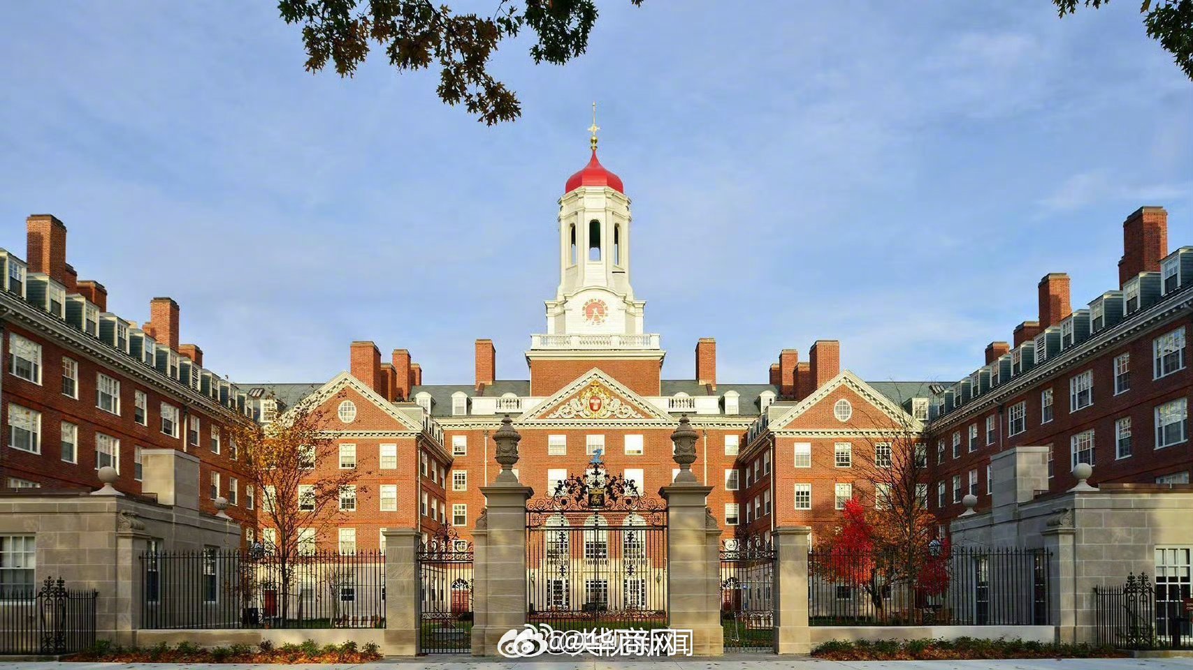 #哈佛国际学生禁令被阻止#【#美国法官又阻止了特朗普的禁令#】当地时间5日，美国