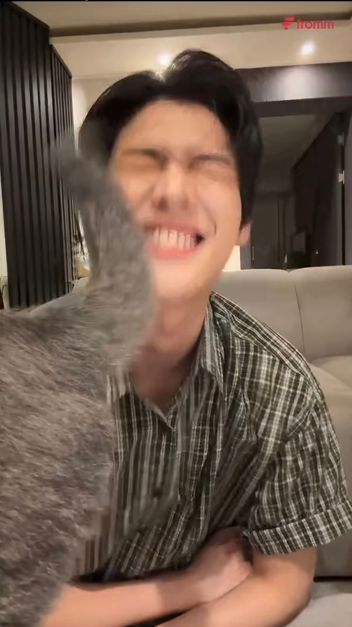 我不行了吧……看到金允植一边习以为常地被三植尾巴啪啪打脸，一边熟练地从嘴里薅出猫