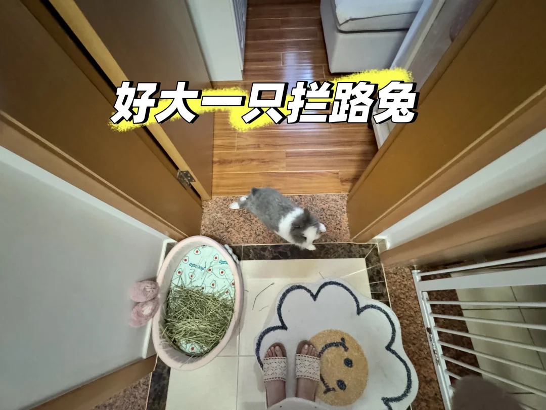 我都不敢过去了~~