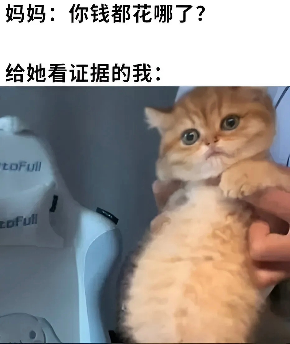 这辈子亏了谁，都没有亏了我这张嘴没有丑猫只有顽强小猫 ​​​