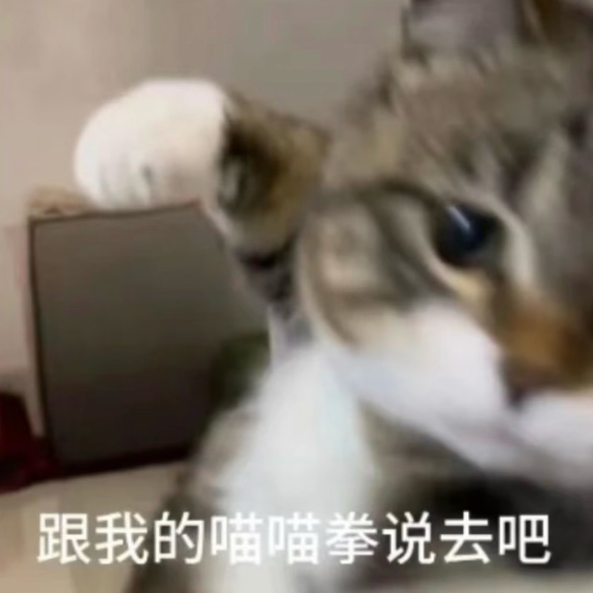 [桃里桃气][桃里桃气][桃里桃气][桃里桃气][桃里桃气][桃里桃气][桃里桃