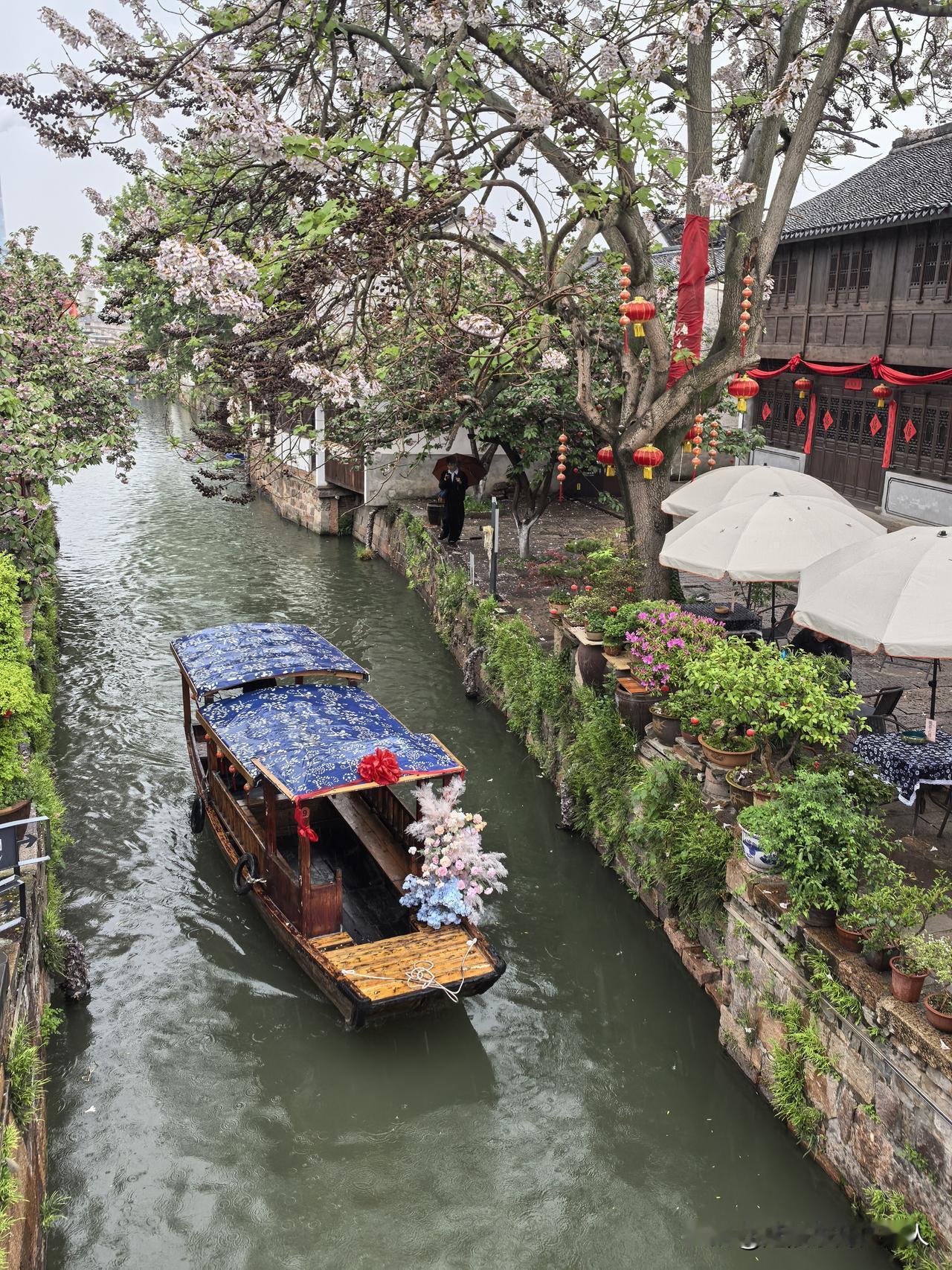 新市古镇，不一样水乡古镇，
春日细雨中漫步，
粉色晚樱遇见迷人的桐花，
心中古镇