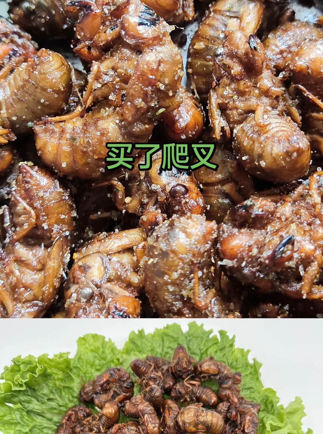 买了爬叉，斗爸居然给我推炸蝎子，好吃吗？爬叉 炸蝎子 来自大自然馈赠的舌尖上美食