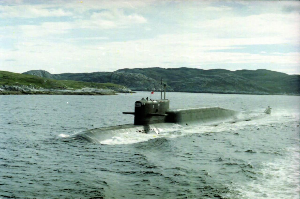667A型战略核潜艇（北约代号：Yankee class，扬基级）是苏联第二代弹