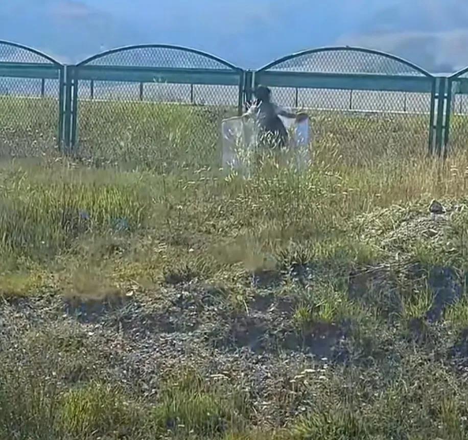 美丽的赛里木湖景区吸引不少游客去观光，可景区公厕却是屎满为患，临时公厕又因供水不