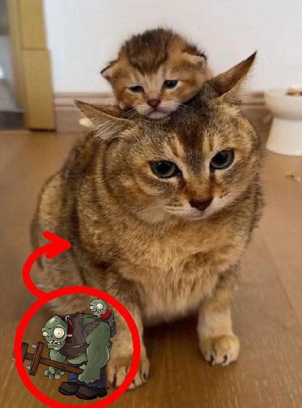 ​ ​​​