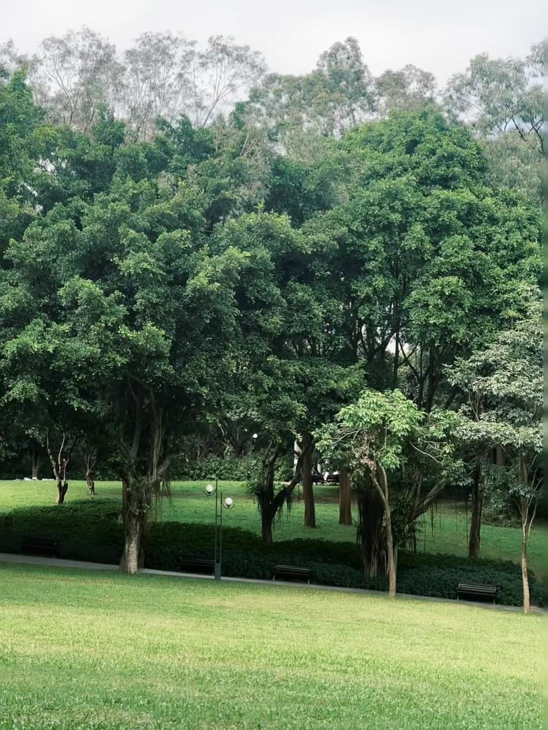 敏感的人 活在这个世界上就像赤脚走在碎石上 疼是真的 但能感觉到每一寸...