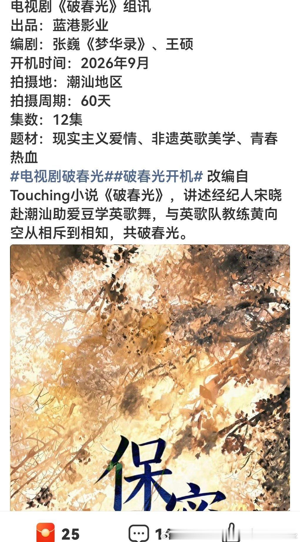 这种只拍12集，大概就是注定会扑的扑街剧，投资小、没钱吧 
