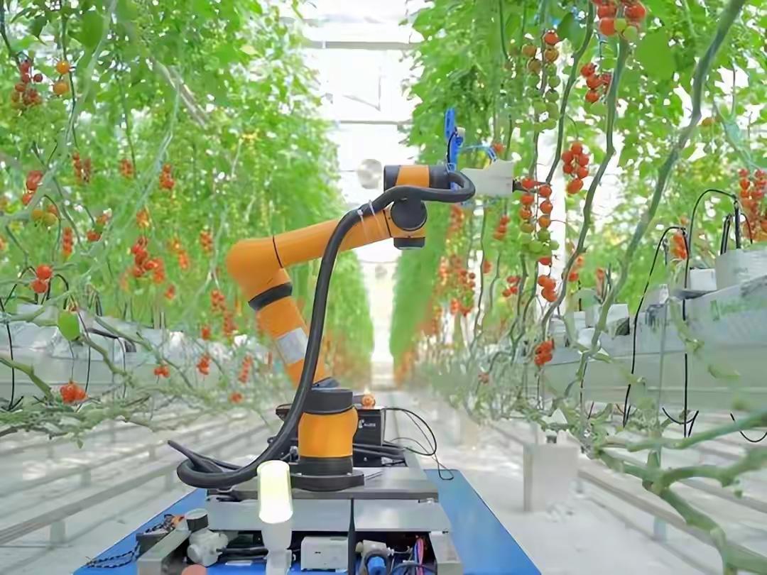 ✨程序员被AI淘汰是好事✨

🐼 贫道是学计算机的，也是搞软件开发的。软件开发