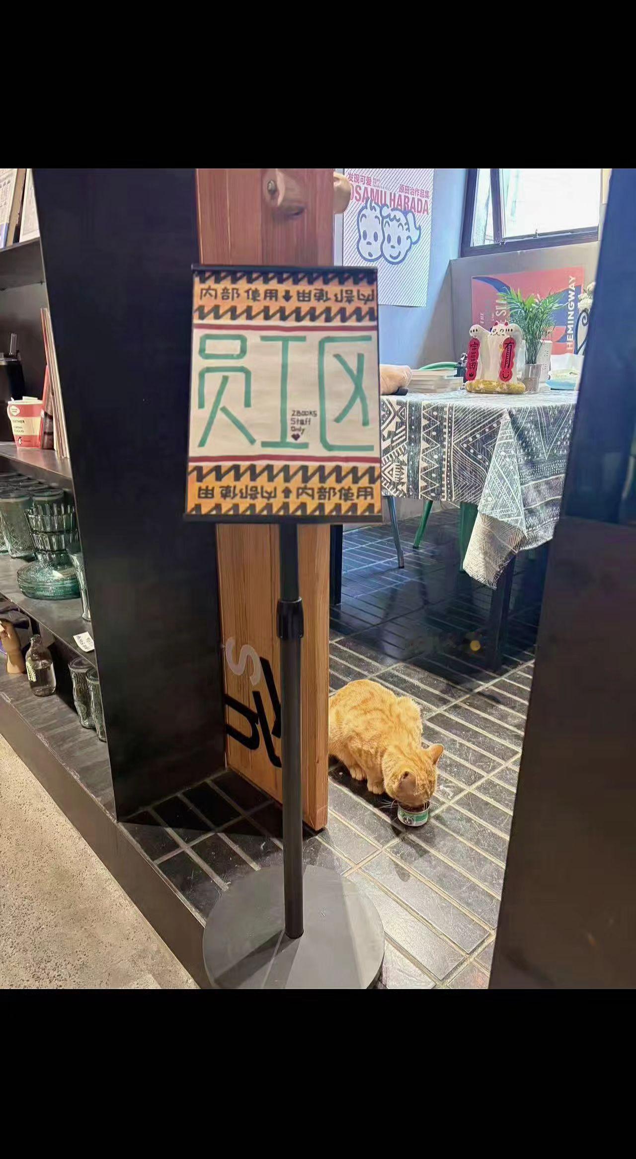 🐾员工区的告示牌，挡不住干饭喵的倔强～
规则是人类的边界，猫主子的世界只有真香