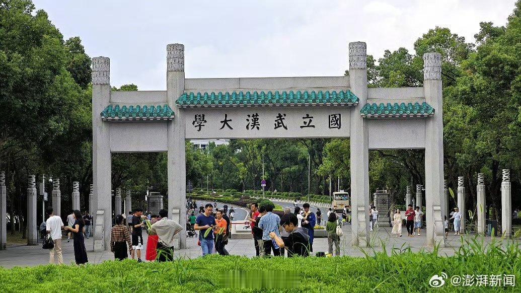 武大大可不必等86页PDF逼出来一份86页的举报材料，把武大和安大都卷进了舆论漩