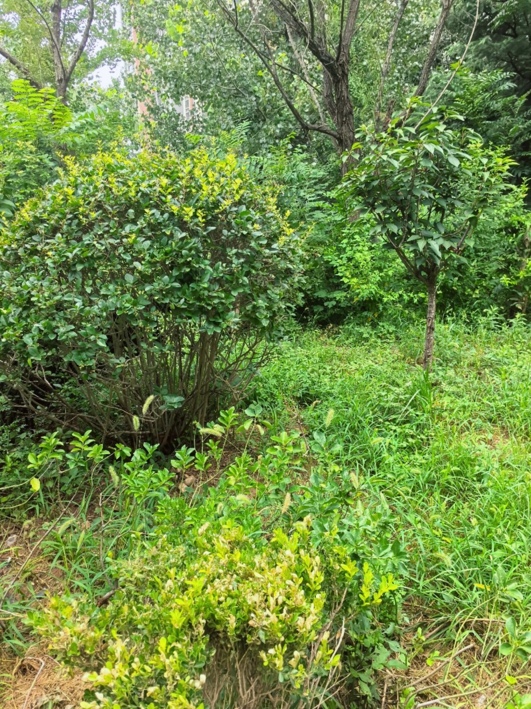 闷热闷热的，雨呢