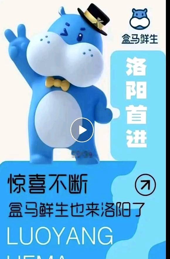 消息不保真，反正海报已经发出来了，盒马首店最终选择了洛阳涧西万达。

听说这次定
