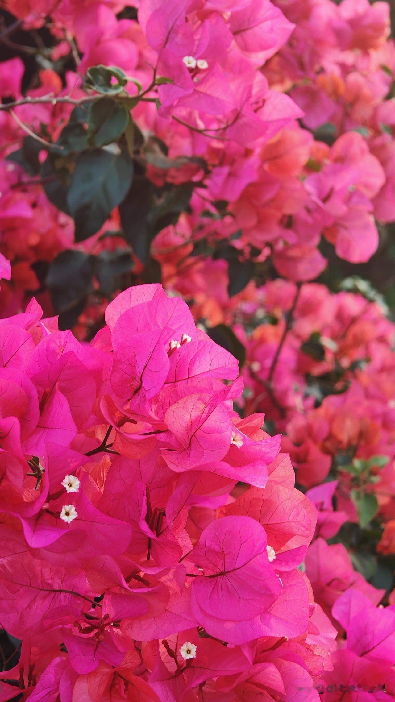 企业如何进行绩效考核?一家医疗器械销售公司，之前只考核“月度销售额”，导致业务员