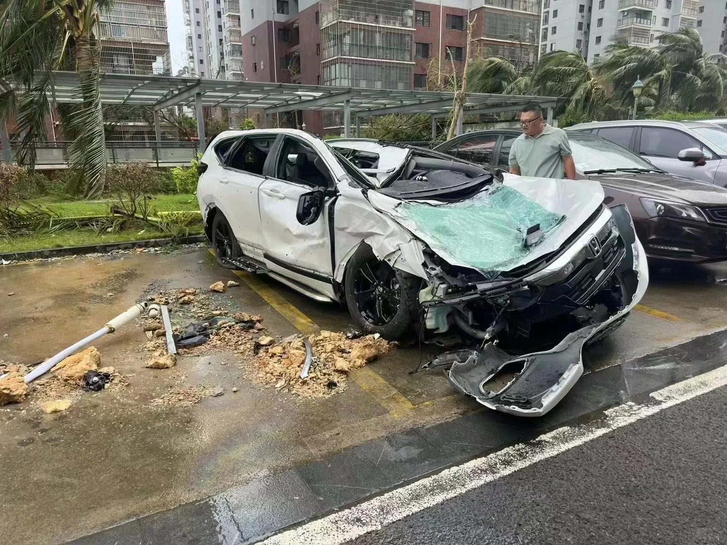 海南人民坚持住啊，太可怕了，全市瘫痪