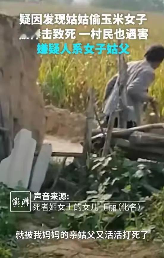 亲姑姑偷侄女家的玉米，被女子发现，偷拍视频，拍视频的过程中，被她的亲姑父持棍击打