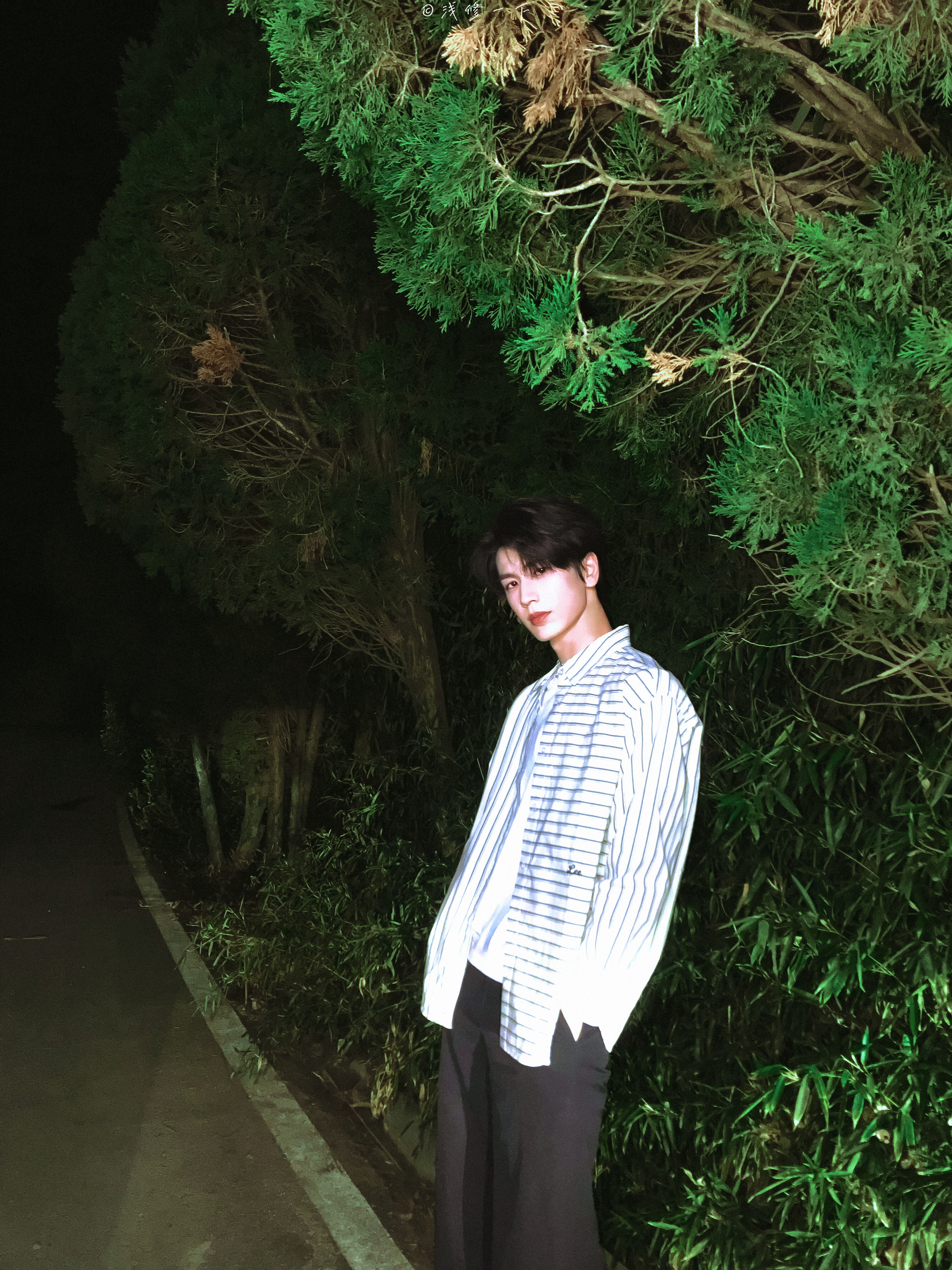 张凌赫🌌🌳💫 ​​​