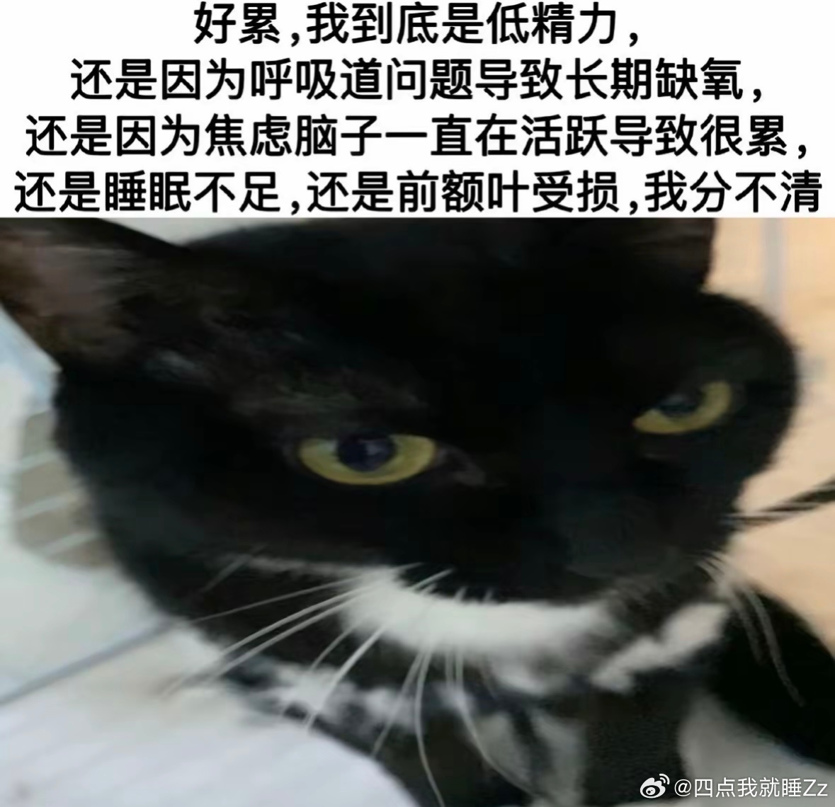 分享图片 