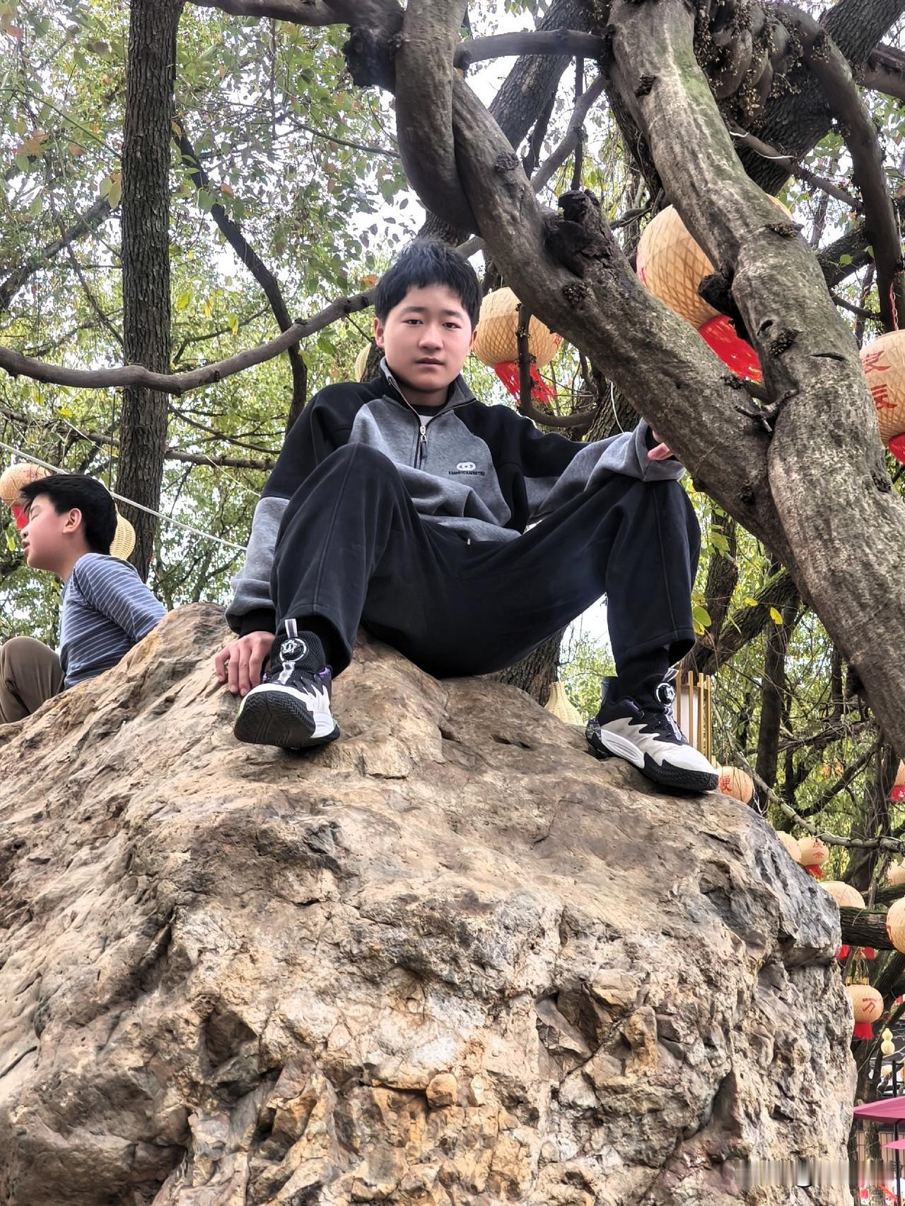 周末的阳光刚好，我爬上这块老石头歇脚。身后的古树盘虬卧龙，枝桠间挂着几盏红灯笼，