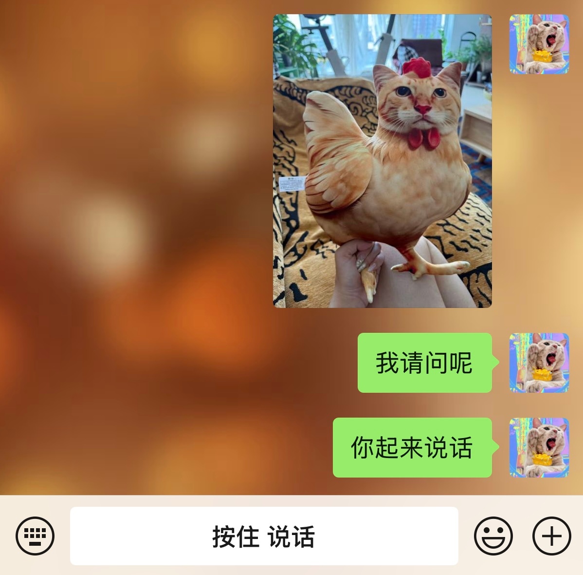 朋友给寄了个快递📦我请问呢…橘子来了