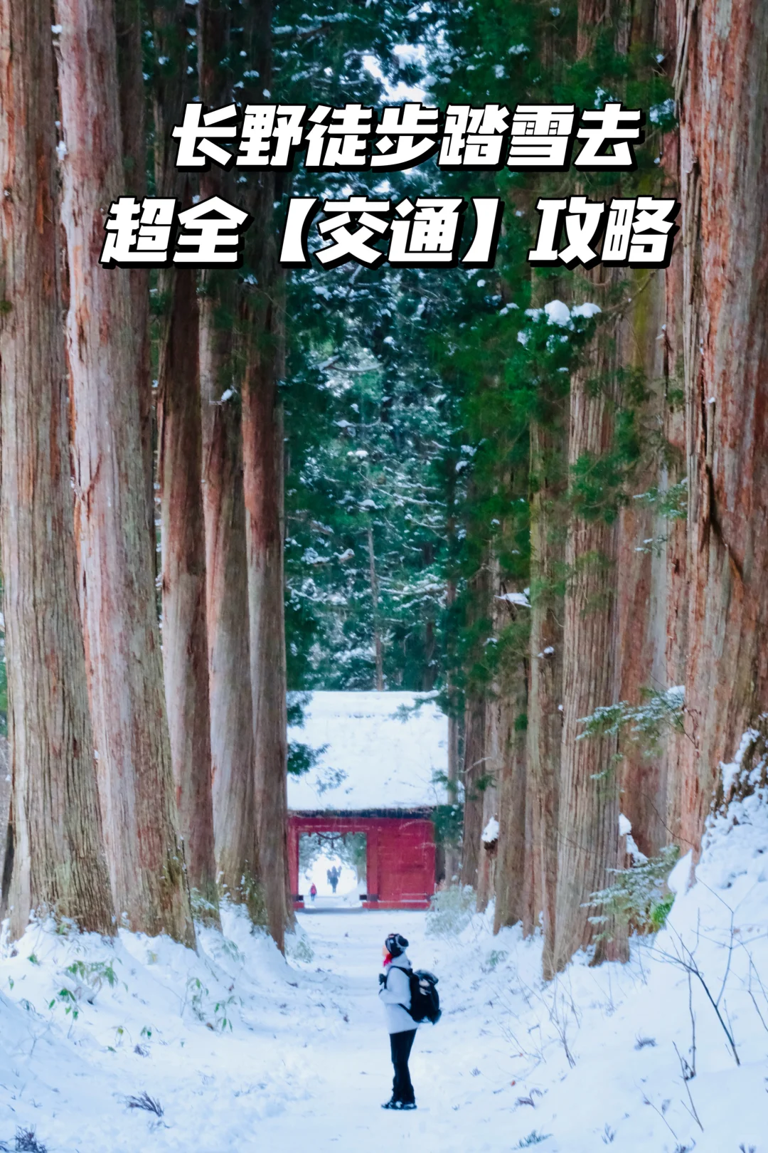 2024旅行结算 | 长野雪地徒步后劲太大了❗️