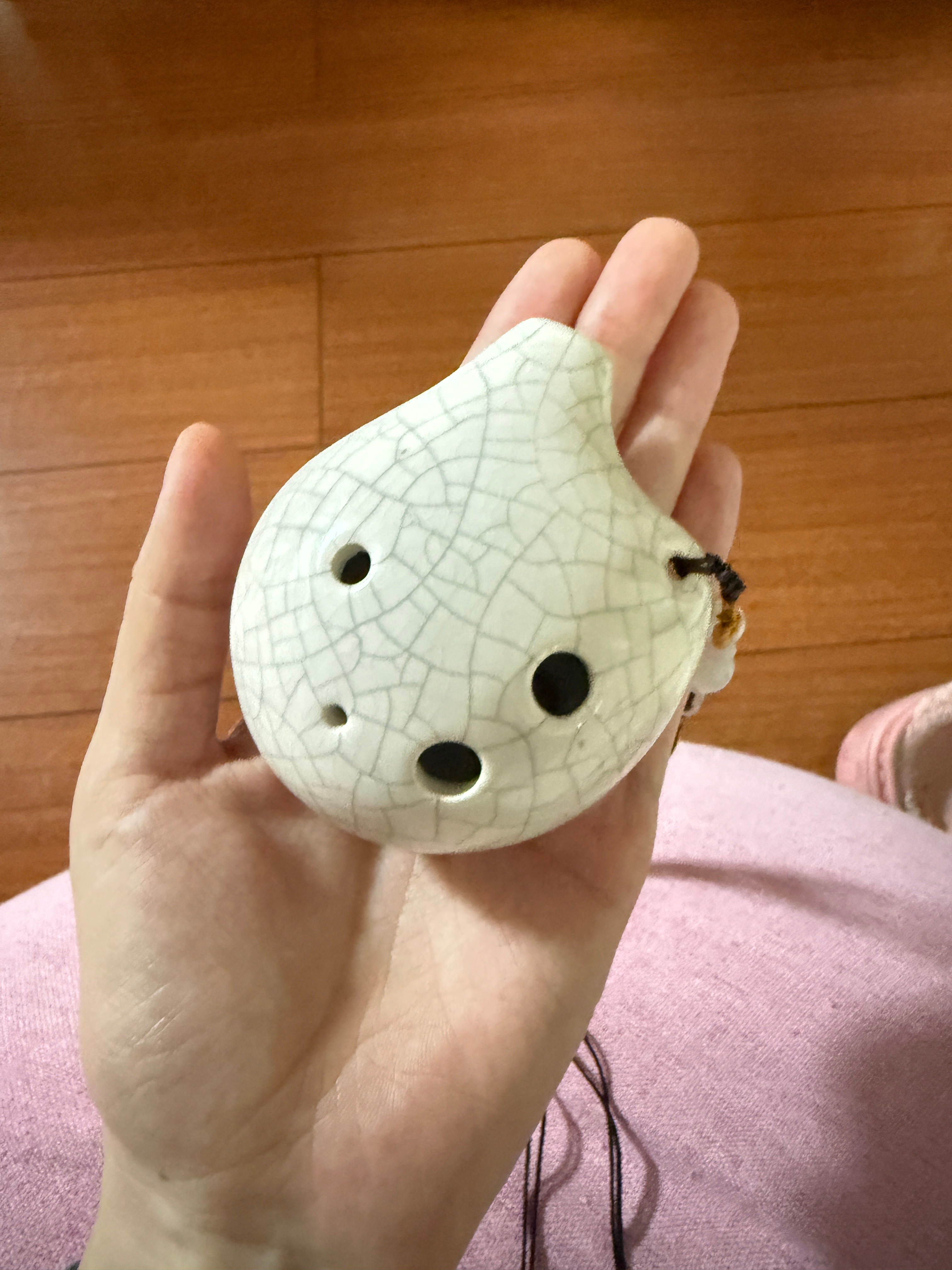 在压压家看到我儿时的梦想：陶笛拿起来胡乱吹了一通路过的旅蛙：天呐老婆你真是多才多