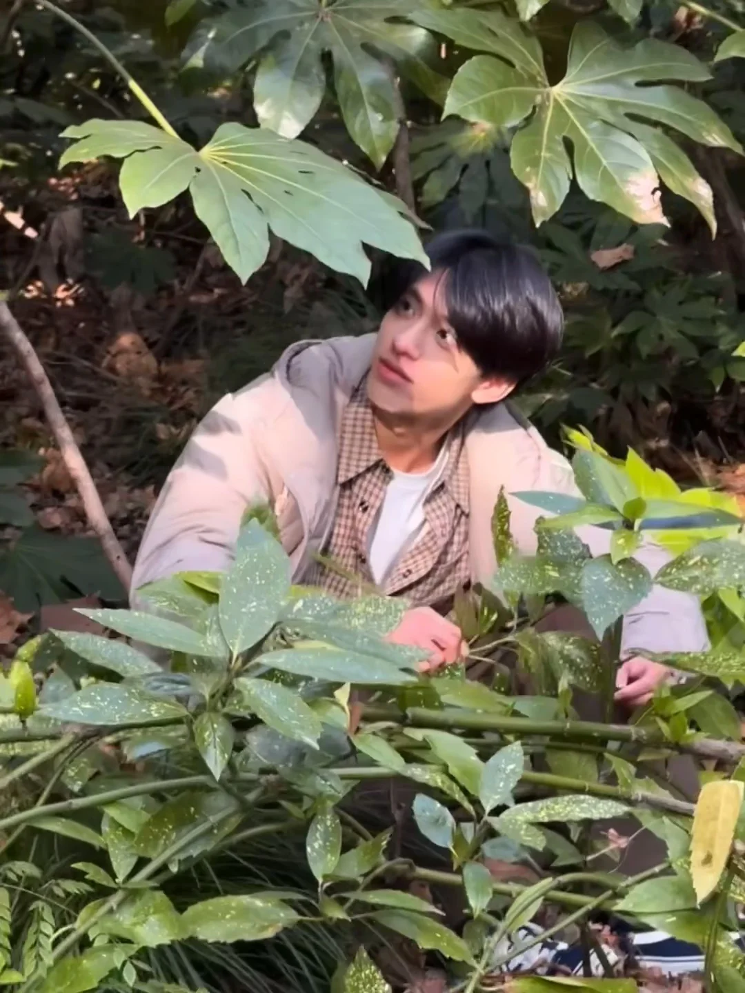 我被陌生植物俘获了