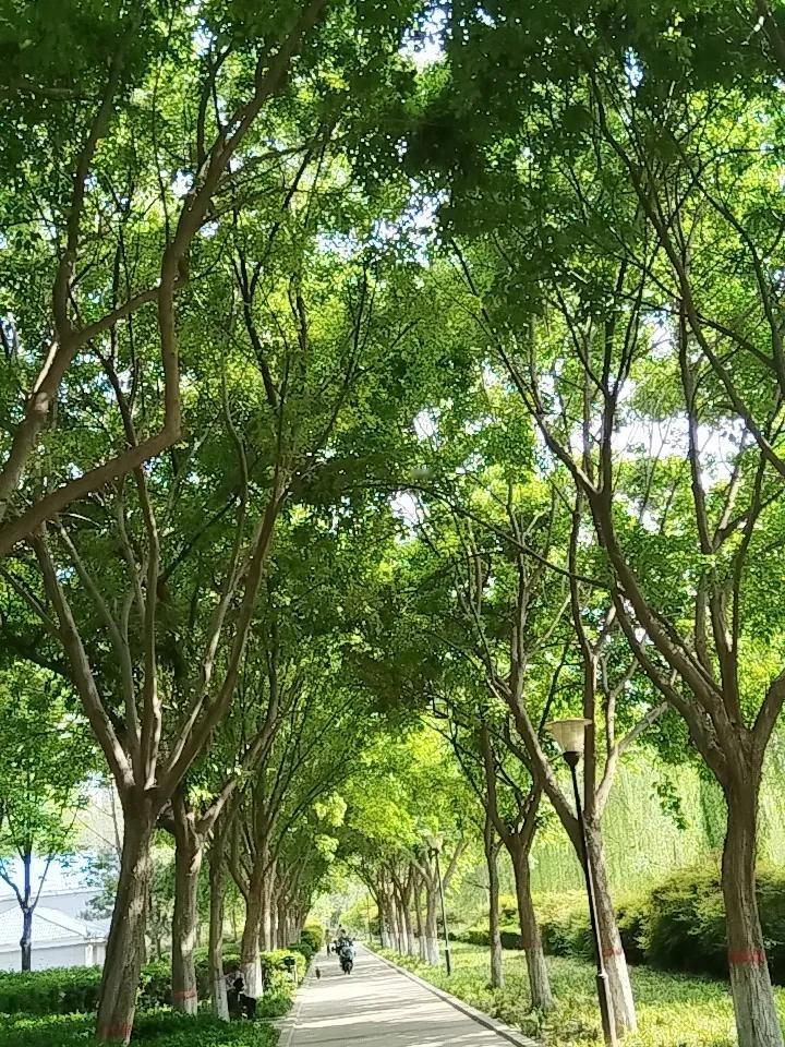 关于公园的照片分享