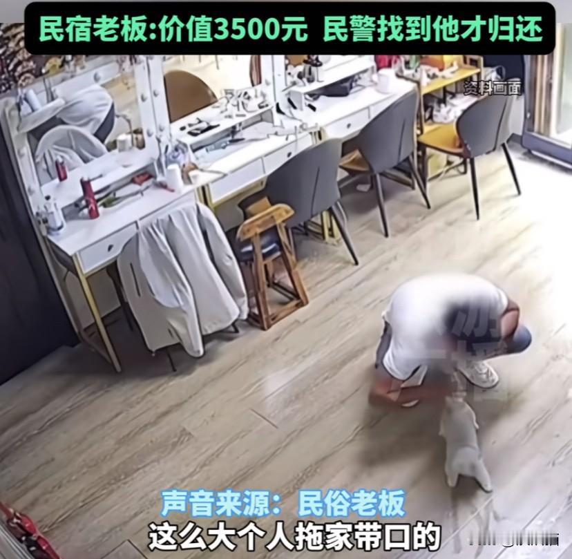 河南洛阳，男子带着老婆和孩子住民宿，退房时偷走民宿小猫。民宿老板联系男子时却被拒