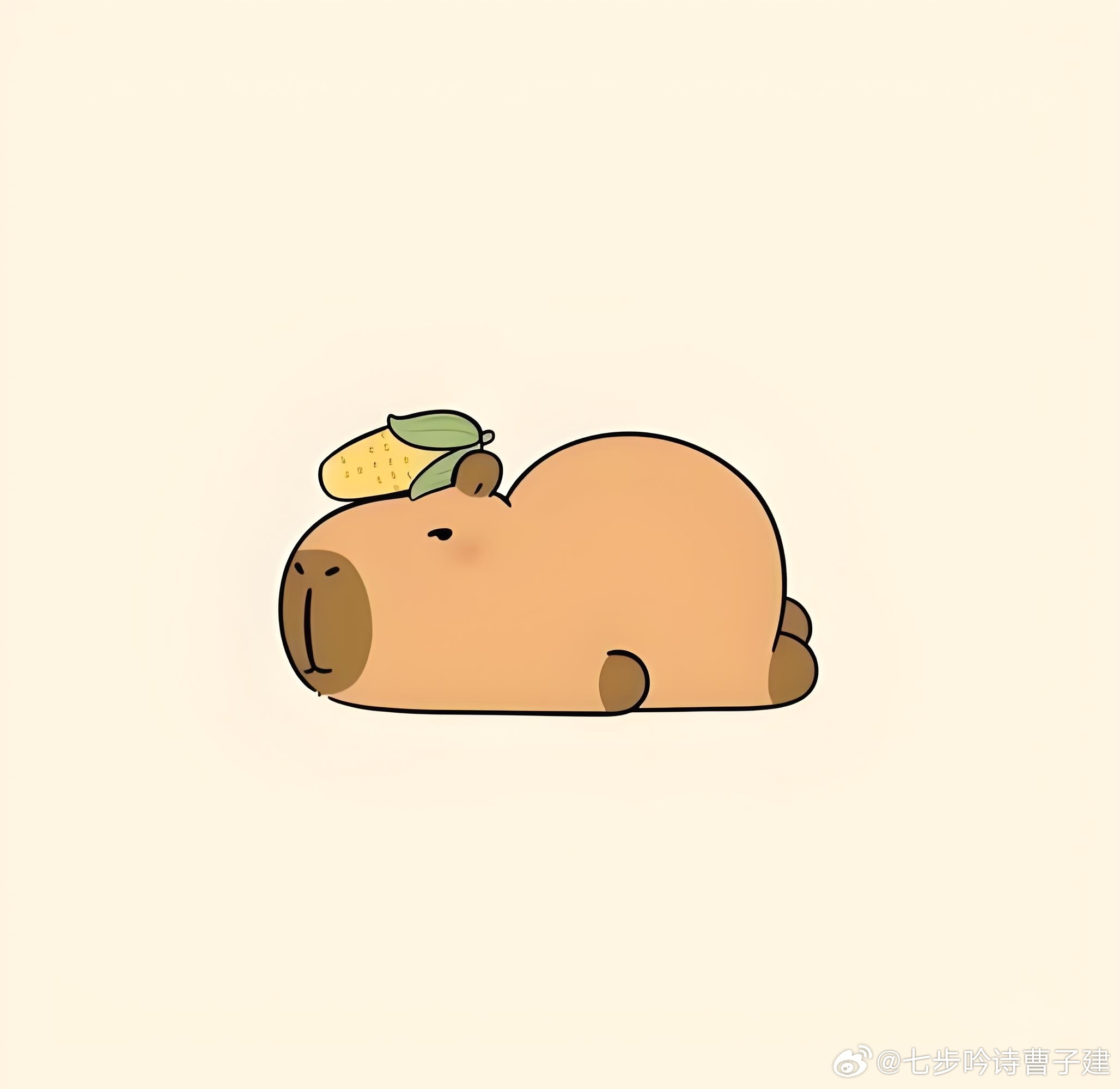 略略略 ​​​