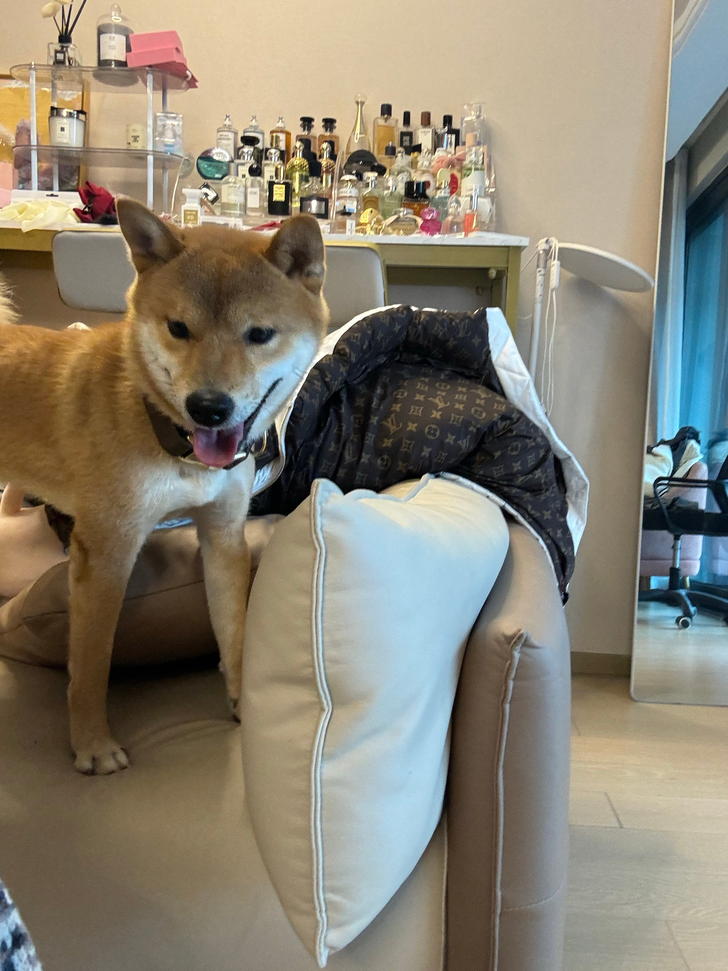 算是一个合格的滴滴代养了 ​​​