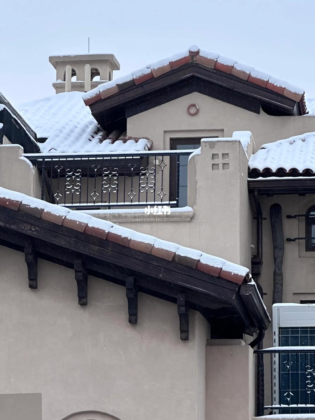 北京初雪❄️我家太美了！