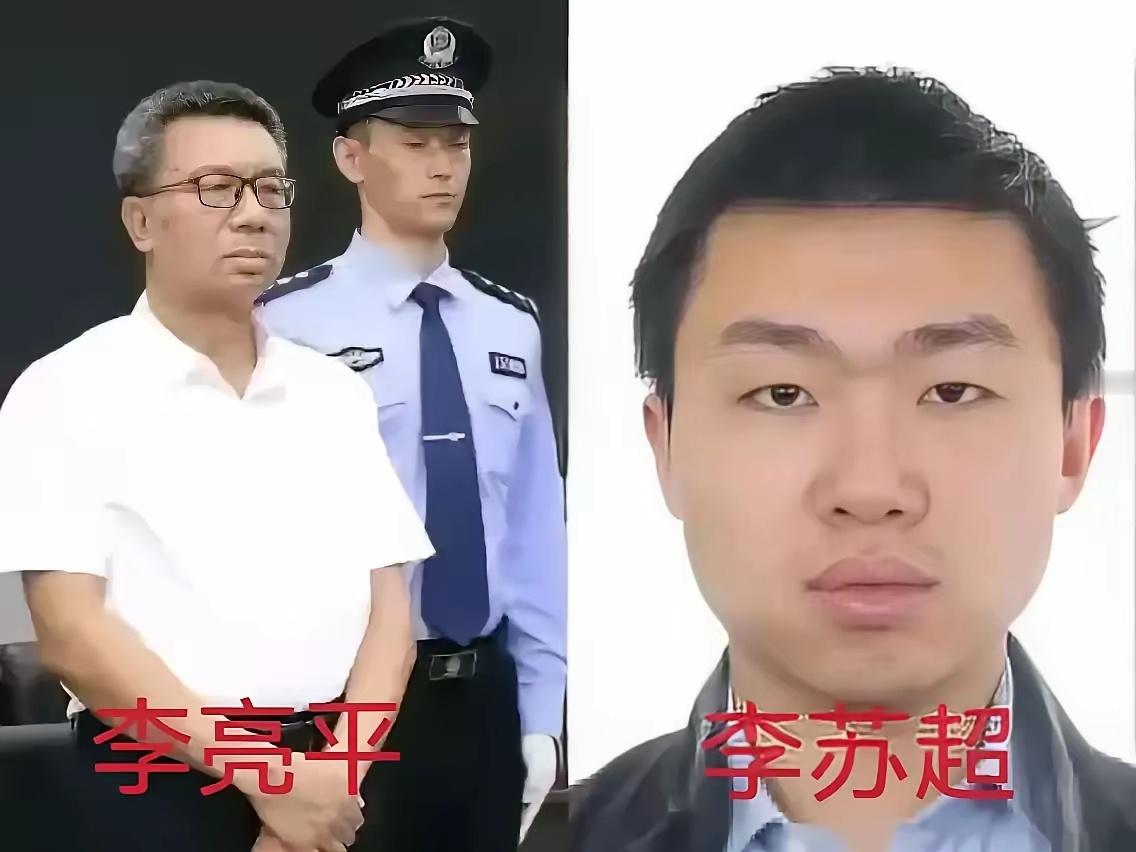 李建平被执行死刑后，他儿子李苏超大概有这样三种选择：其一，躲在国外当三等公民，虽