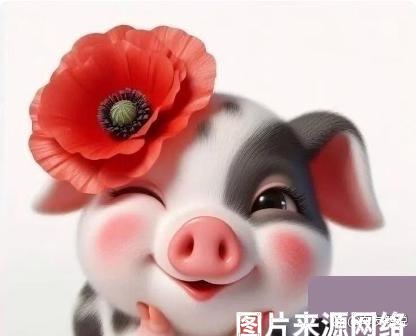 侄子这两天唉声叹气：我这命也太不好了，想着跟郭德纲学相声，他又出事了。

这思维