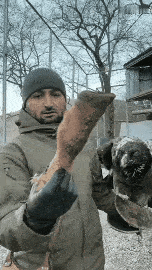 恐怖如斯的消化系统～