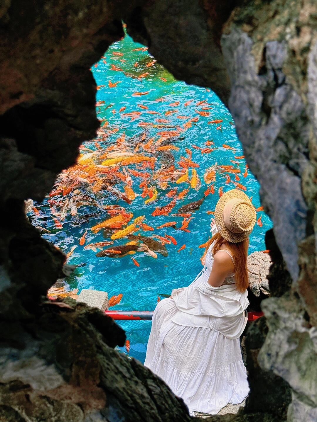 佛山一日游❗️18图放不下佛山的美‼️附攻略