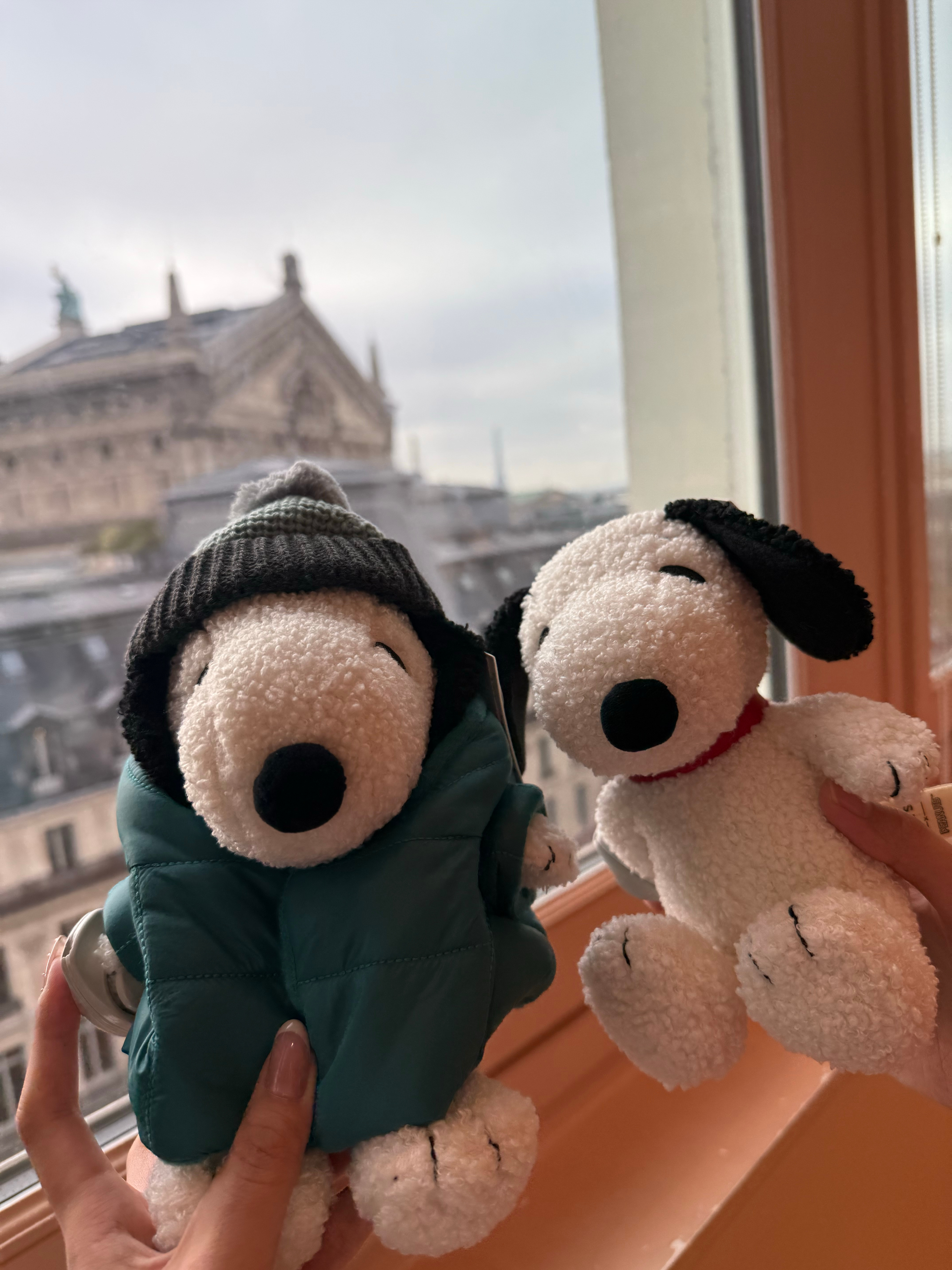 在巴黎的labubu不排队 回来倒爱上了[允悲]  