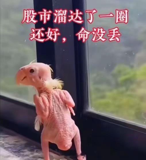一句话证明你来过大A 