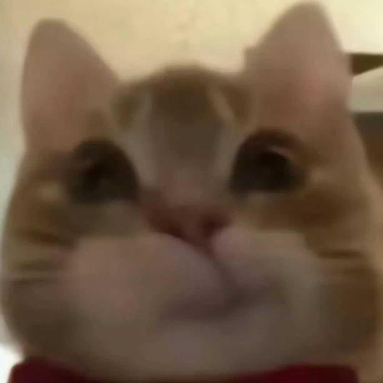 人间至甜袁冰妍 歪嘴小O~ 