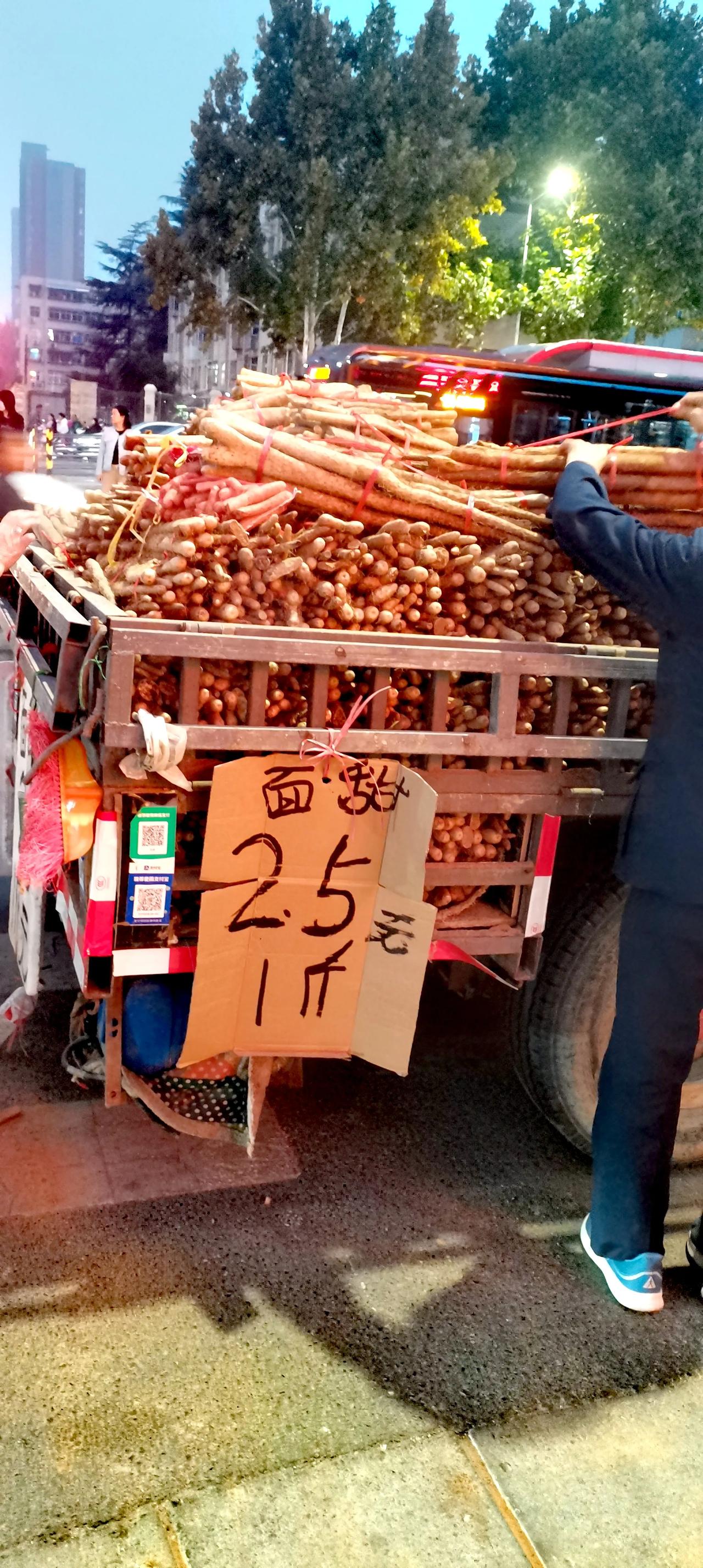 郑州街头叫卖的
铁棍山药2块5一斤，
一定不是垆土山药！
大都是无滋补价值
的菜