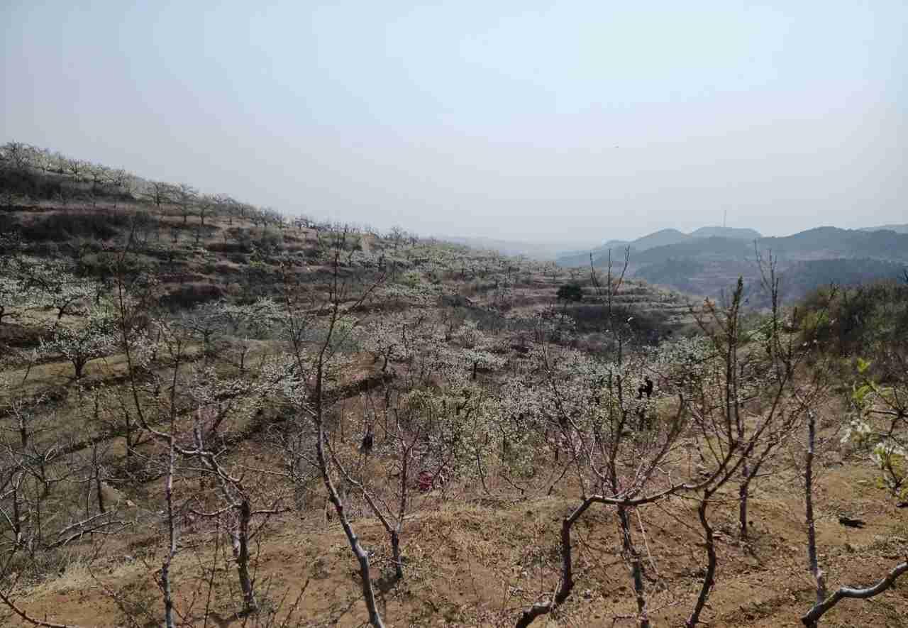 我的今日状态：😁轻松愉快
我这里的天气：☀️晴天

今天好暖和啊！