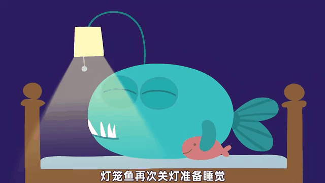 睡前一脖：【一个睡觉习惯长胖还伤心脏】睡觉一个细节危害堪比熬夜 睡觉时开灯或暴露