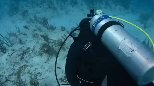 戏里演渣男反派，戏外却在海外潜水时救了陌生人，章涛这个回应，直接圈粉无数！
一位女网友发文分享经历，