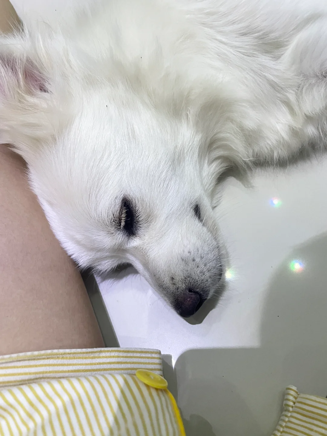 幸福就是看着你睡觉